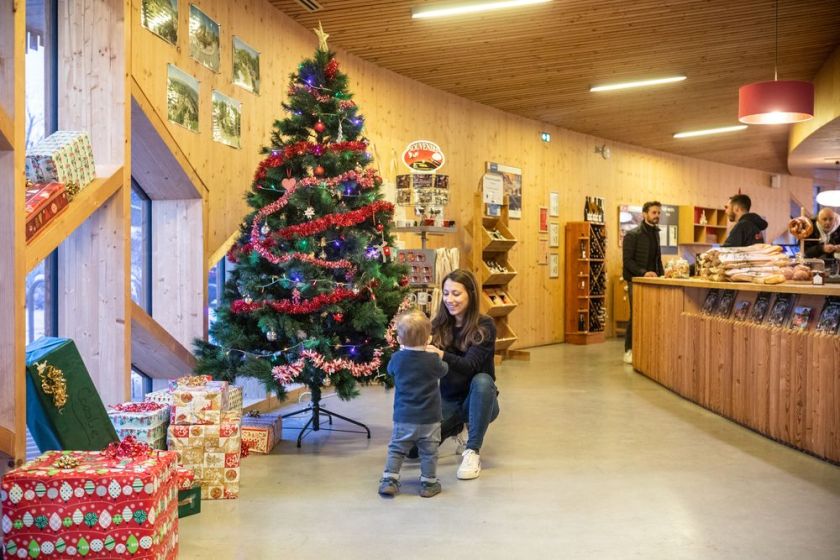 City Kamp Camping de Strasbourg