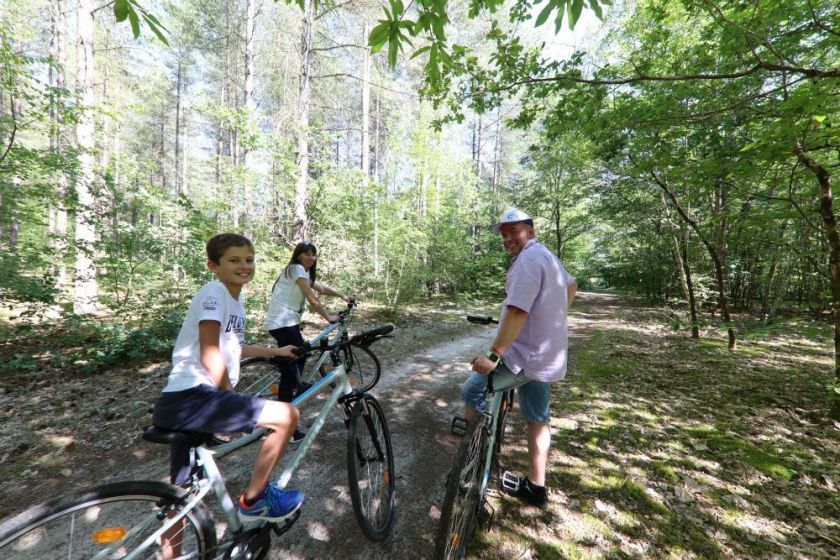 Location de vélos sur place