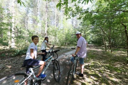 Location de vélos sur place