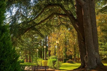 Profitez du parc boisé du Village Club