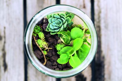 Profitez d'un séjour exceptionnel en famille !