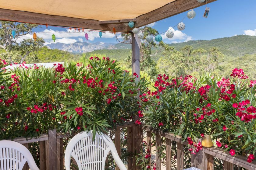 Un très beau paysage