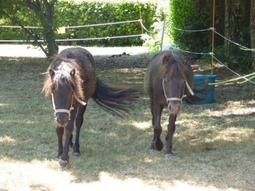 Le Camping La Porte d'Autan***