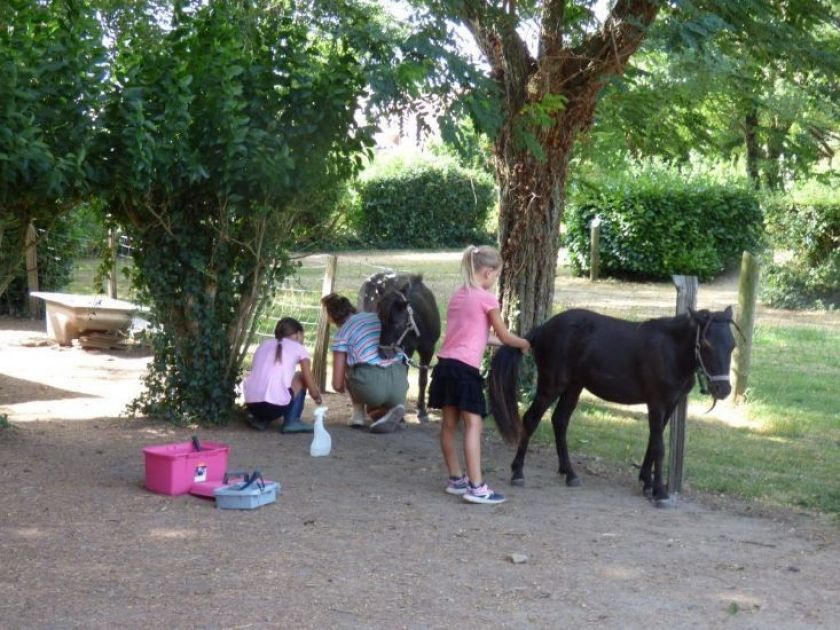 Le Camping La Porte d'Autan***