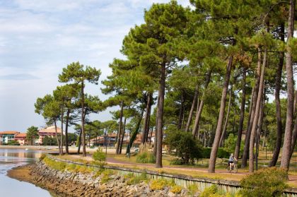 Plus de 50 km de pistes cyclables