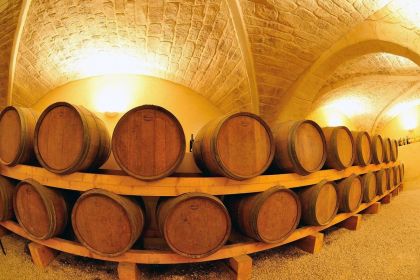 Domaine de la Yole entre vignes et plages