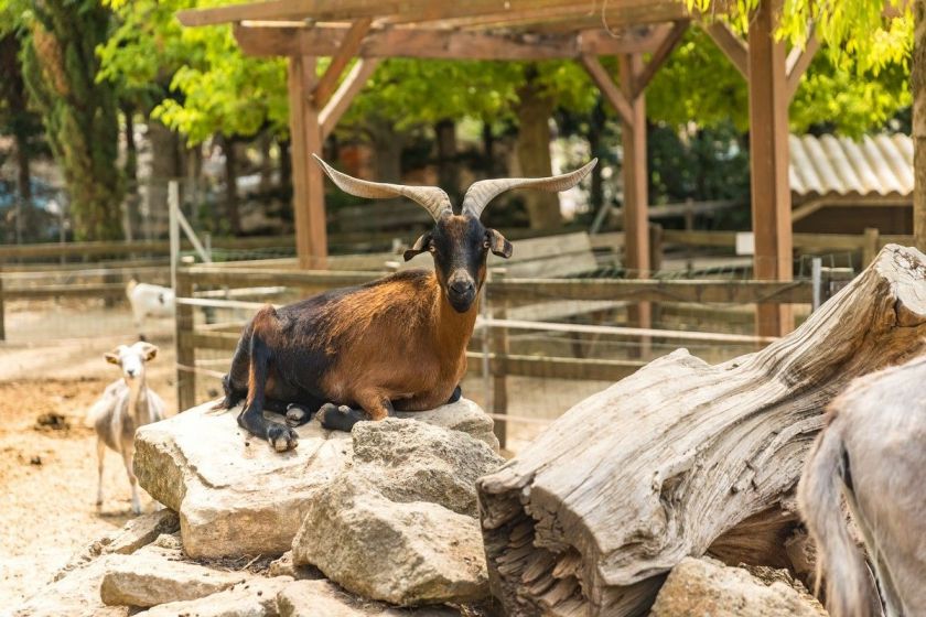 Domaine de la Yole entre vignes et plages