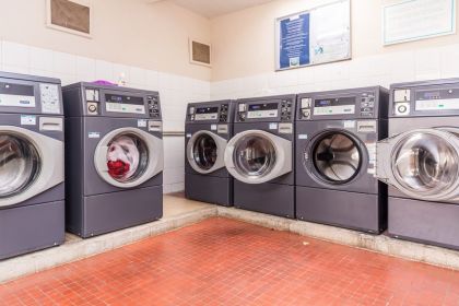 Domaine de la Yole entre vignes et plages