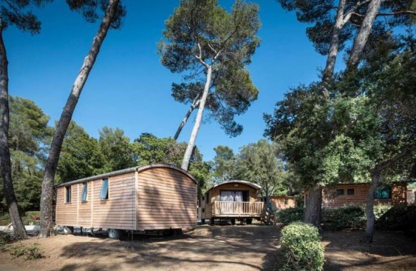 Forêt de Janas La Seyne-sur-Mer