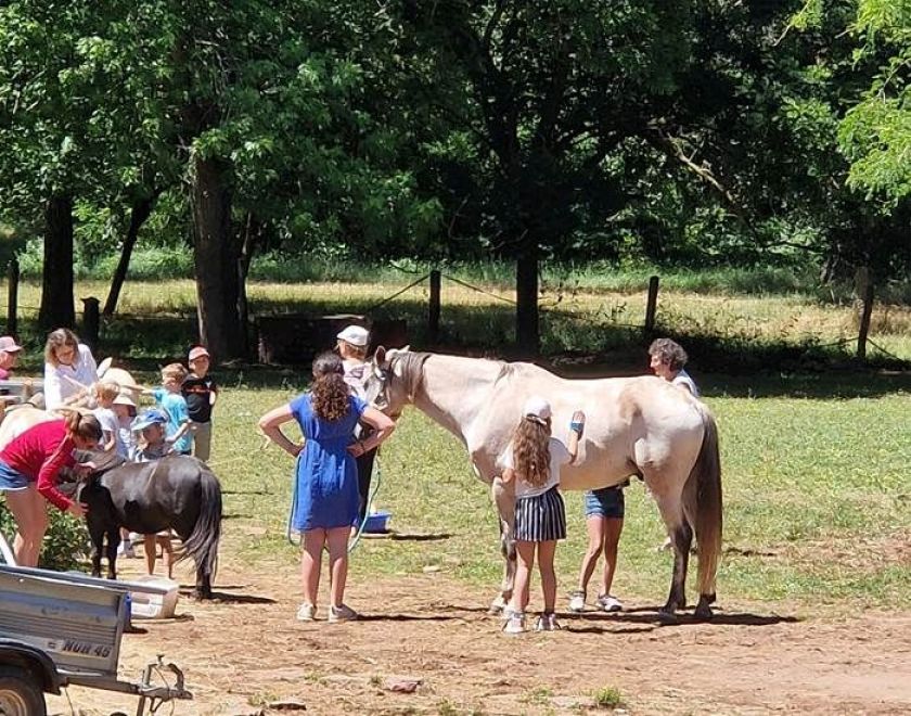 Le Hameau des Genêts