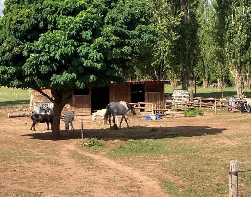 Le Hameau des Genêts