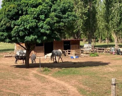 Le Hameau des Genêts