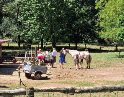 Le Hameau des Genêts