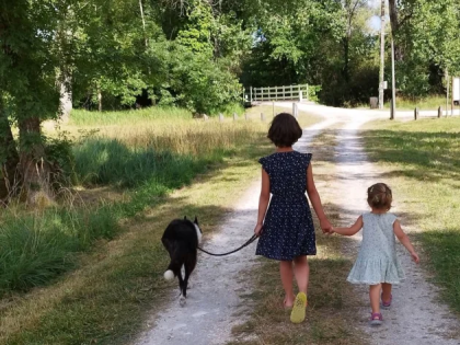 Camping des Tourbières