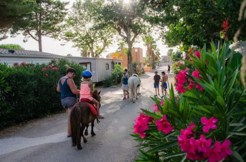 Camping Les Jardins d'Agathe