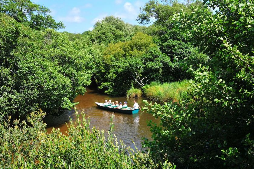La rivière à proximité