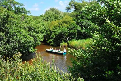 La rivière à proximité