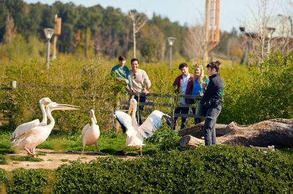 Center Parcs Le Bois aux Daims
