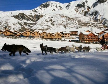 chiens de tra&icirc;neaux saint sorlin
