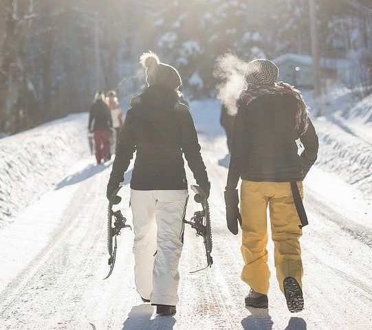 randonn&eacute;e raquette &agrave; travers la for&ecirc;t
