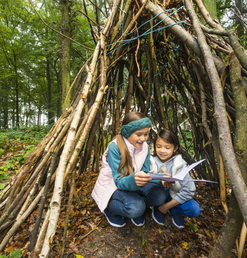 for&ecirc;t cabane enfants